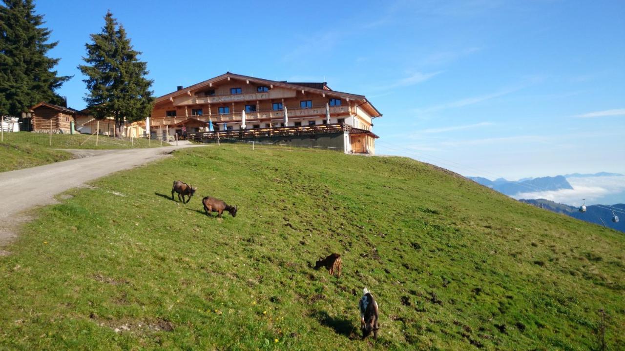 Berggasthof Schatzbergalm Thierbach Ngoại thất bức ảnh